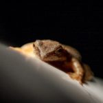 探索OTC体育官网首页:全面了解在线交易平台的优势与功能 4qe534zs