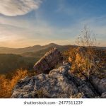 探索home体育官网首页:全方位了解体育赛事的最新动态 8h7l31v4l