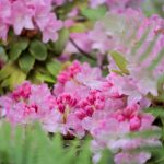 探索c7.app:如何提升你的应用开发效率与体验 cr0hvcl